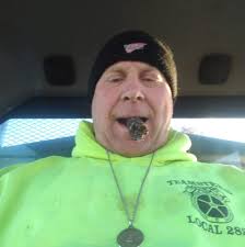 How to identify a golden eagle versus a bald eagle?