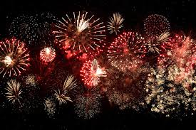 Located just on the outskirts of the cbd, oaks brisbane mews suites is in the popular suburb of bowen hills, the home to brisbane's annual show, the ekka. How Should I Care For My Pets During Fireworks Displays Rspca Knowledgebase