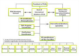 organizational chart pharos university in alexandria