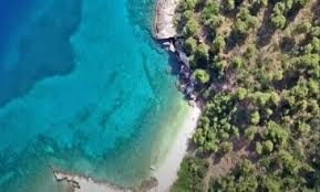 Λυπούμαστε, δεν υπάρχουν περιηγήσεις ή δραστηριότητες διαθέσιμες για κράτηση online για την ημερομηνία που επιλέξατε. Mikro Phlio H Kryfh Kai Katagalanh Paralia Sthn Attikh News Gr