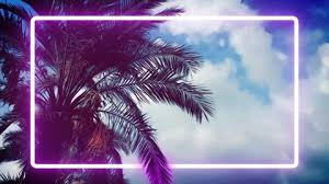 H e l l o l o v e l i e spalm trees really do capture the essence of holiday vibes. Palm Trees With Trendy Aesthetic Stock Footage Video 100 Royalty Free 1034903534 Shutterstock