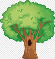 See more ideas about owl cartoon, owl, cartoon. Hollow Tree Png Images Pngegg