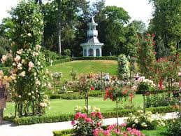 Check spelling or type a new query. Rose Is A Royal Honor Bagatelle Park Rose Royal Honors Bagatelle Gardens
