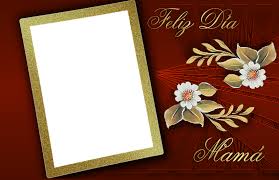 Dos pájaros rosas y verdes, madre día y madre., dibujos animados pintados a mano, corazón, galliformes png. Download Dia De La Madre Picture Frame Full Size Png Image Pngkit