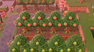 15 Acnh Orchard Designs Ideas Inspiration To Try Fandomspot In 2021 Animal Crossing Orchard Design Garden Animals