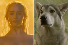 Would you rather have the high sparrow or olenna tyrell as your enemy? Can You Beat This Annoyingly Difficult Game Of Thrones Quiz