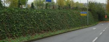Bewehrte Erde Mit Efeu Begrunt Garten Ideen Garten Erde