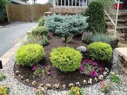 Kind Kuts Landscape Lawn Service Shrubs For Landscaping Front Yard Landscaping Azaleas Landscaping
