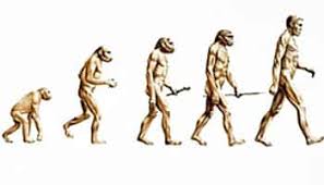 Maybe you would like to learn more about one of these? Indian Origin Researcher Challenges Darwin S Theory Hindustan Times