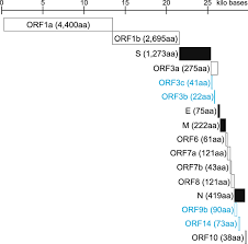 In addition, records indicate that the unleashing of this weaponized pathogen should have been intentional rather than accidental. Genome Evolution Of Sars Cov 2 And Its Virological Characteristics Inflammation And Regeneration Full Text