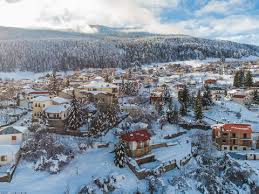 Image result for Grevea