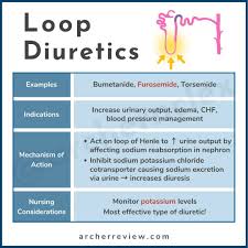 Image result for Loop Diuretic