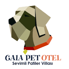 Gaia Pet Otel Izmir Kopek Villasi Home Facebook