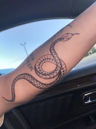 Snake tattoos tend to be quite detailed, so you have to keep them intact. Snake Plant By Jeff Willis At Diamond In The Rough Mansfield Ohio Tattoos