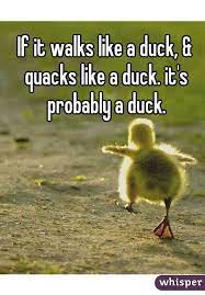 If It Walks Like A Duck Quacks Like A Duck It S Probably A Duck