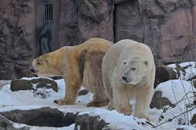 Pin Auf Besucher Schnappschusse