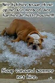 Pin By Anne On Afrikaanse Humor Goeie Nag Good Night Sleep Tight Good Night Wishes