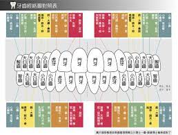 pin by allyson chong on health traditional chinese medicine chinese medicine traditional chinese medicine meridians