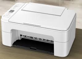 The printer driver setup window appears. Canon Pixma Ts3122 Setup One Stop Instructions Guide