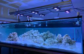 Custom glass or acrylic aquariums can be made to nearly any aquarium size specification. 1000 Gallon Fish Tanks Aquariums Kits Stands Fishtankbank