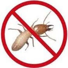 Открыть страницу «anai anai production» на facebook. Chemicide 75 Termite Potion Racun Anai Anai Rayap Semu T 250ml