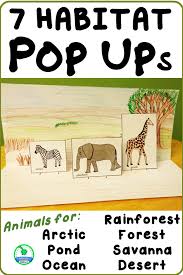 Animal Habitat Diorama Projects Activities Ela Skills Engaging Lessons