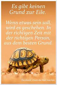 Pin Auf Elli