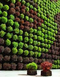 The Green Wall Vertical Garden Design Vertical Garden Vertical Vegetable Garden