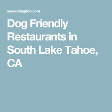 They're a member of your family, and you want them to enjoy lake tahoe with echo lakes near highway 50 and south lake tahoe is a fun place for hikers and for the family dog. 9 Dog Friendly Locations In South Lake Tahoe Ideas South Lake Tahoe Tahoe Lake Tahoe