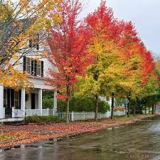 America S Greatest Main Streets Autumn Scenery Woodstock Vermont Beautiful Fall