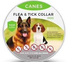 The best flea collar for dogs: Top 6 Best Dog Flea Tick Collars In 2021 Pet On Bed