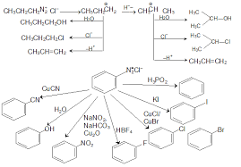 Revision Notes On Compounds Containing Nitrogen Askiitians