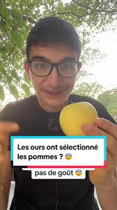 L'incroyable histoire des pommes sauvages au Kazakhstan