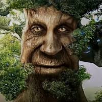 Steam 创意工坊::NEW