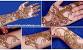 Beginner Simple And Easy Mehndi Designs For Hands Step By Step