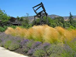 Exterior Design Enchanting Garden Design With Mexican Feather Grass And Sweet Lavender Mexican Feather Grass Grasses Landscaping Feather Grass