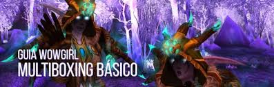 Image result for multiboxing wow
