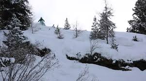 Thank you for signing up. Skiing Powder Stock Video Footage Royalty Free Skiing Powder Videos Page 4
