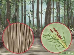 Instead of a noose, you will be using your baited line to catch fish. How To Make A Snare Trap With Pictures Wikihow