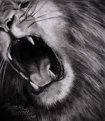 Pin By Drawr On Drawings Realistic Drawings Lion Art Lion Drawing
