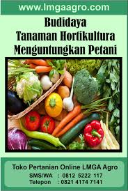 Maybe you would like to learn more about one of these? Budidaya Tanaman Hortikultura Menguntungkan Petani Porcelana Fria Porcelana