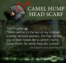 The camels hump contains fat, nothing else. Pin On Islamic Posts Sayings And Poetry