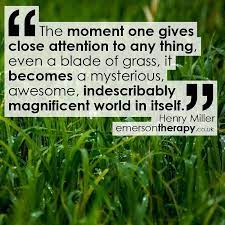 The Moment One Gives Close Attention To Any Thing Even A Blade Of Grass It Becomes A Mysterious Awesome Indescribably Magnificent World In Itself Henry Miller
