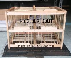Itulah pembahasan tentang cara penangkaran pada budidaya merpati kipas. Kandang Dondang Kayu 4 Pintu Buat Burung Merpati Dara P51xl36xt36cm Shopee Indonesia