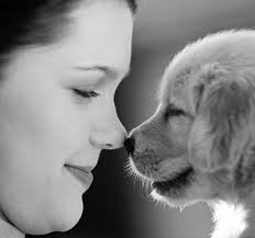 Upcoming Events Calendar