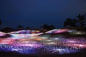 Anne Mortier On Twitter Wine Country California Installation Art Paso Robles
