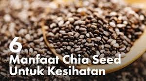 4.669 resep chia seeds ala rumahan yang mudah dan enak dari komunitas memasak terbesar dunia! Cara Makan Chia Seed Untuk Kurus Women Online Magazine Cute766
