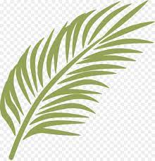 Daun dari palem ini terbuat dari kertas pembungkus nasi tapi sangat cantik dan aesthetic untuk dijadikan dekorasi ruangan dan juga kerajinan ini sangat. Cabang Kelapa Minggu Palma Arecaceae Gambar Png