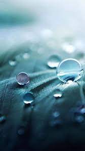 Samsung S6 S6 Plus S6 Edge Note 4 Note 5 And Note Edge Wallpapers Water Droplets Photography Water Droplets Macro Photography