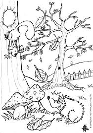 Malvorlage Herbst Igel Und Eichhornchen Kostenlose Ausmalbilder Zum Ausdrucken